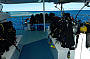 3 Day Cod Hole and Ribbon Reefs Dive Trip - Ocean View Deluxe