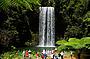 Millaa Millaa Falls