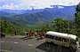 Heales Lookout